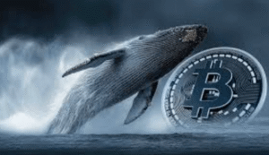 What Is a Crypto Whale and Why Does It Matter?
